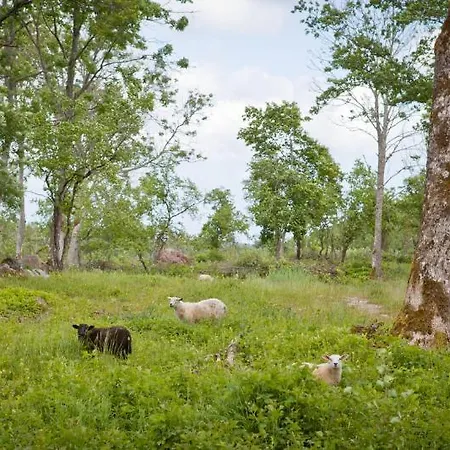 Laevnina Farm Rannakula (Saaremaa)