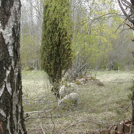 Vakantiehuis Laevnina Farm