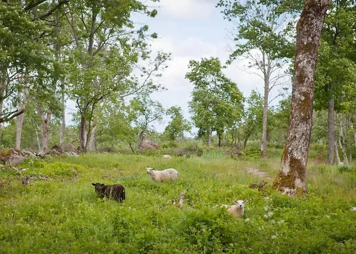 Laevnina Farm Rannakula (Saaremaa)
